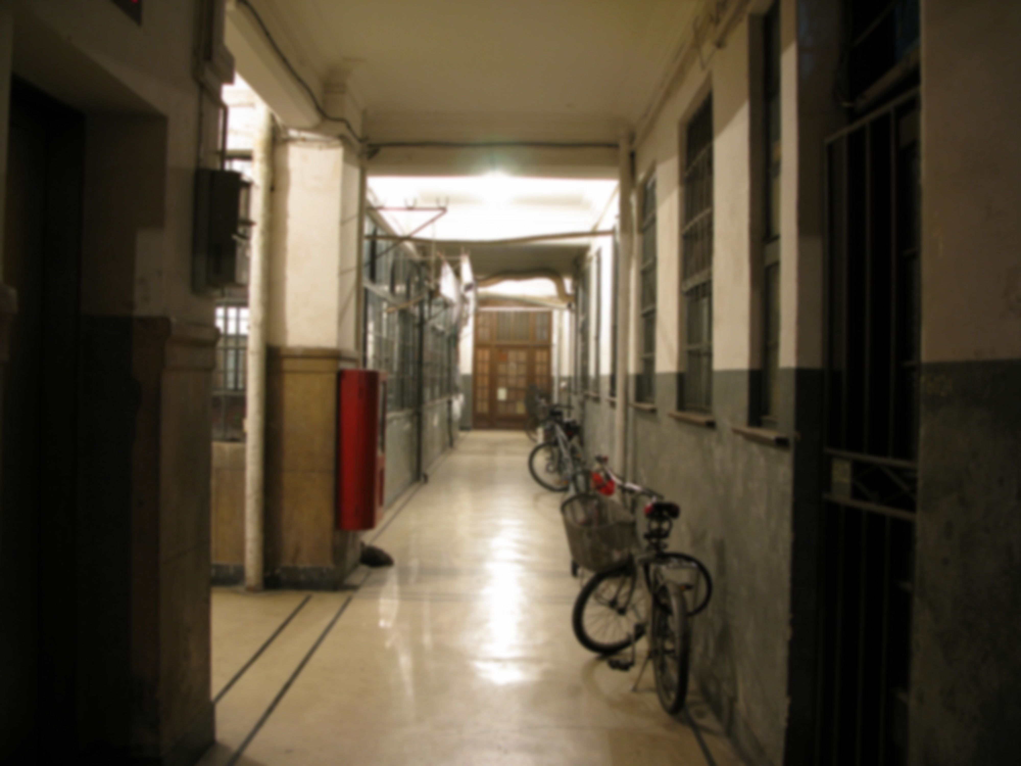 Latest Snapshot (placeholder)