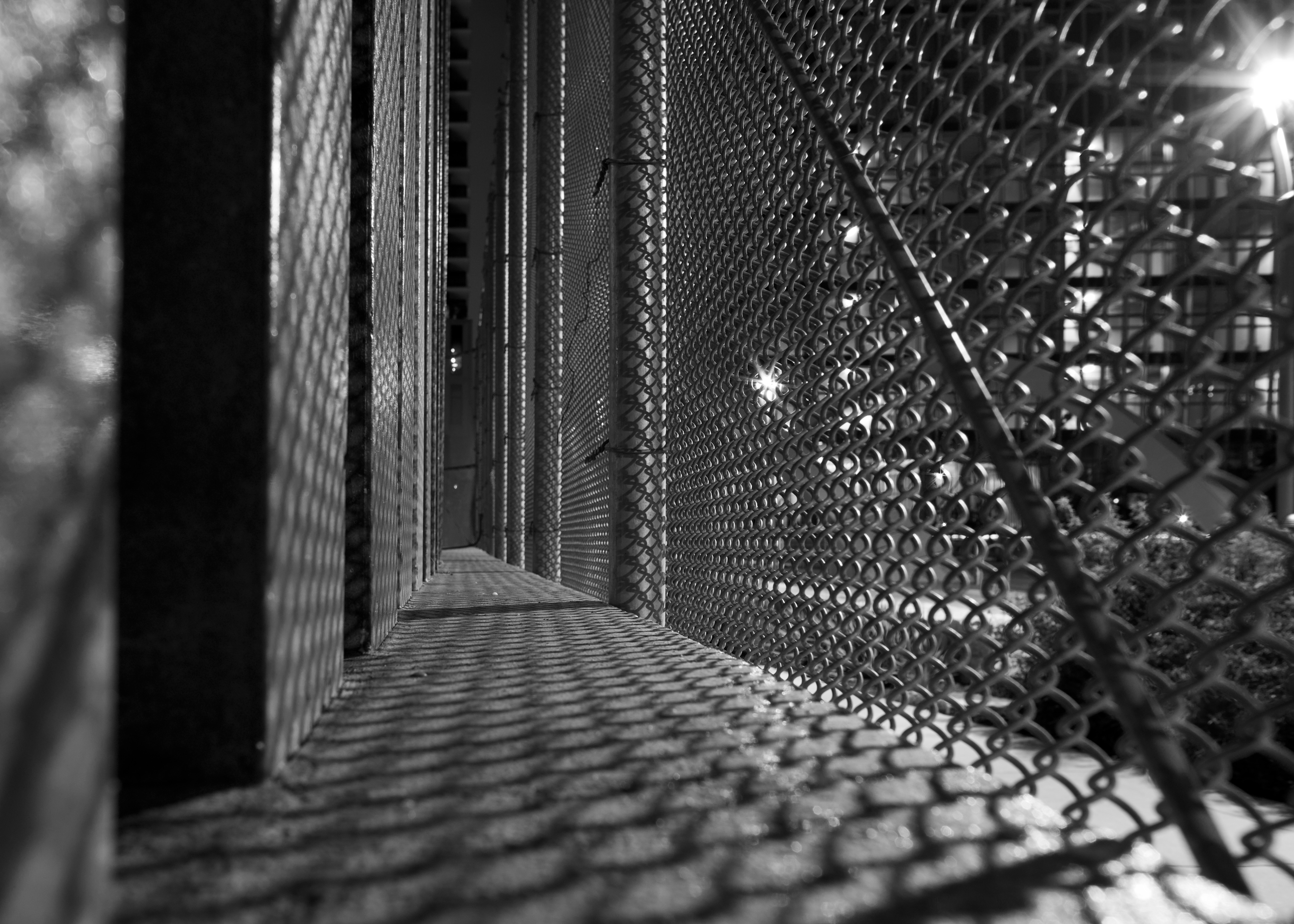 Night Snapshot (placeholder)